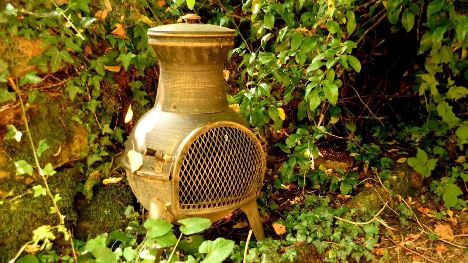 Cast iron chiminea standing in a garden among ivy